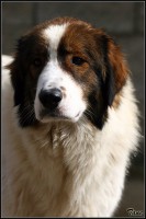 /album/a/vita-hlava-jpg/